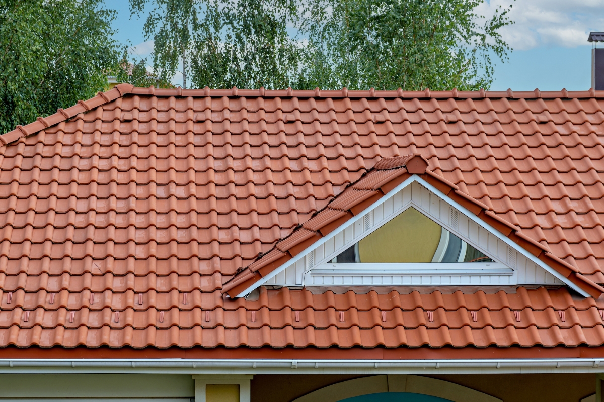 prikaz čistog krova