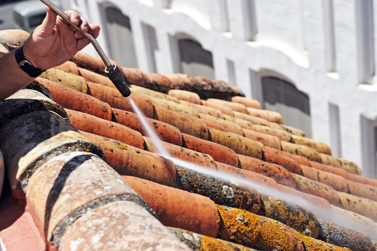 prikaz osobe koja pere krov sa šmrkom