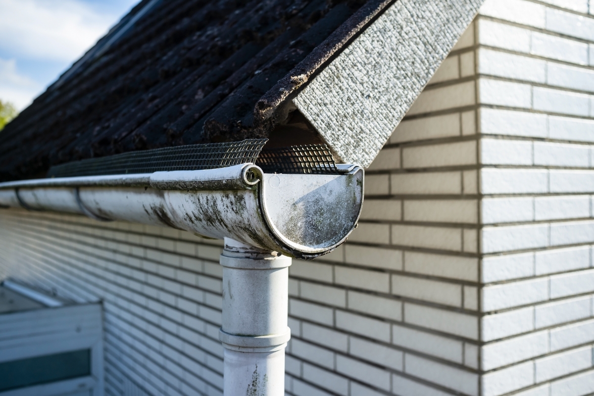 prikaz oluka sa mrežicom